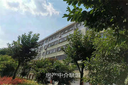 圣和雅居园2楼119平3室2厅1卫58.8万元